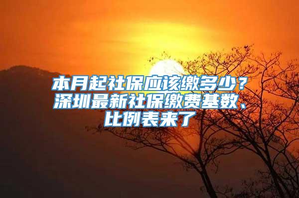 本月起社保应该缴多少？深圳最新社保缴费基数、比例表来了