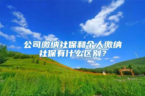 公司缴纳社保和个人缴纳社保有什么区别？