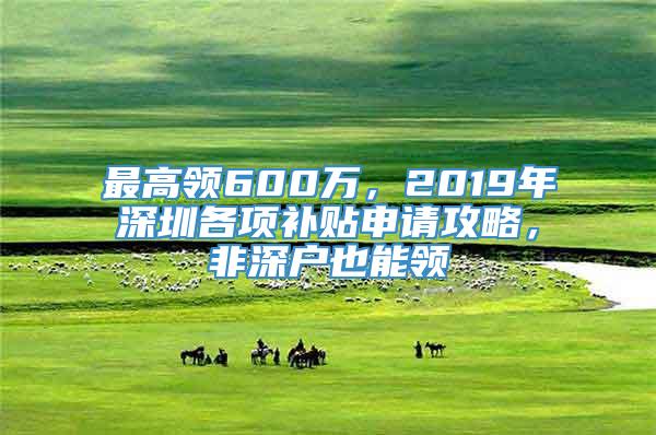 最高领600万，2019年深圳各项补贴申请攻略，非深户也能领