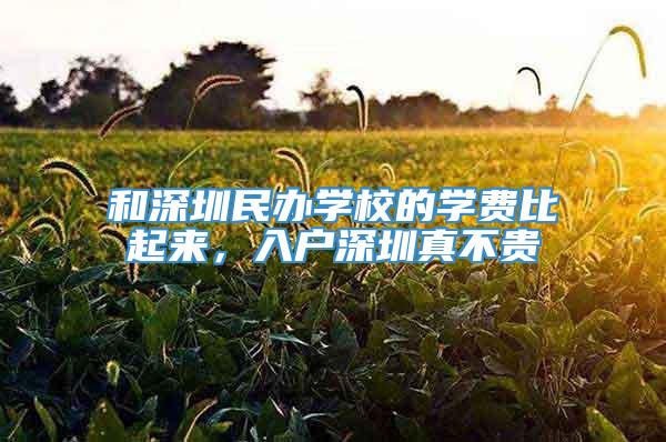 和深圳民办学校的学费比起来，入户深圳真不贵