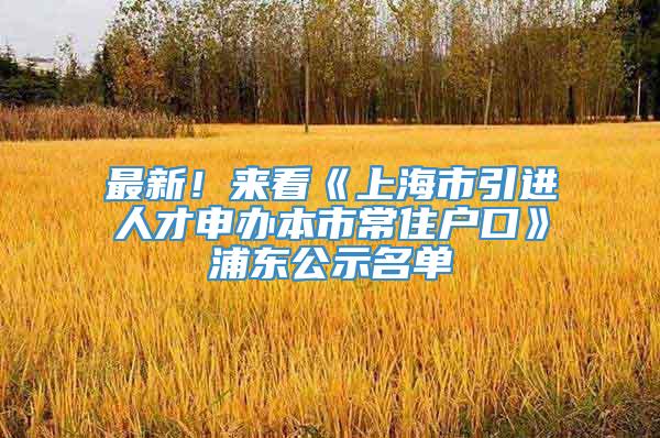 最新！来看《上海市引进人才申办本市常住户口》浦东公示名单