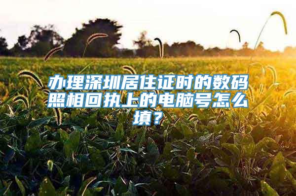 办理深圳居住证时的数码照相回执上的电脑号怎么填？