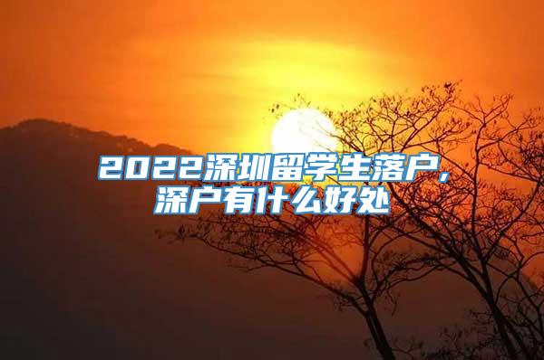 2022深圳留学生落户,深户有什么好处