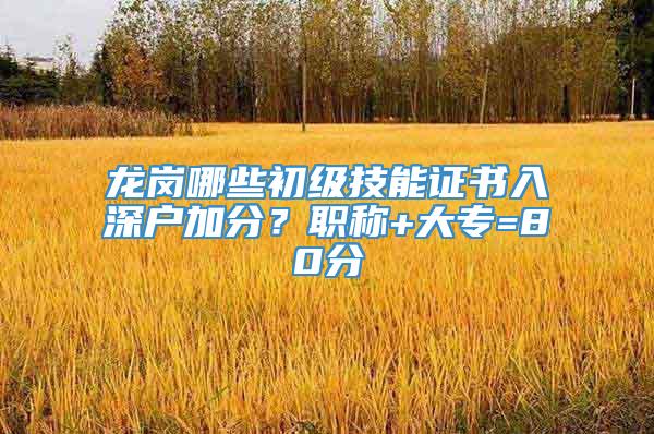 龙岗哪些初级技能证书入深户加分？职称+大专=80分