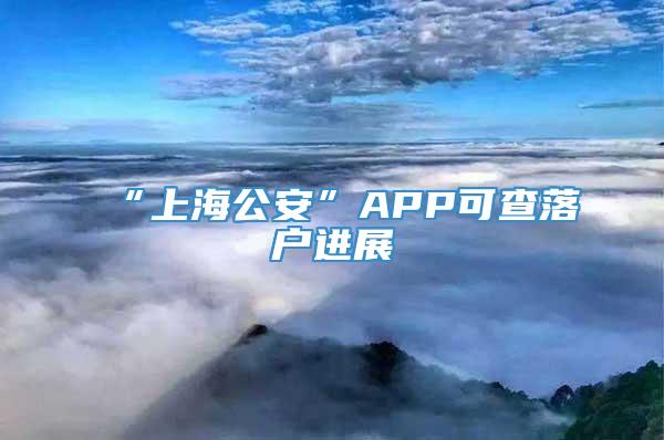 “上海公安”APP可查落户进展