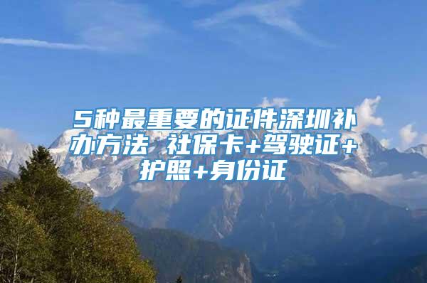 5种最重要的证件深圳补办方法 社保卡+驾驶证+护照+身份证