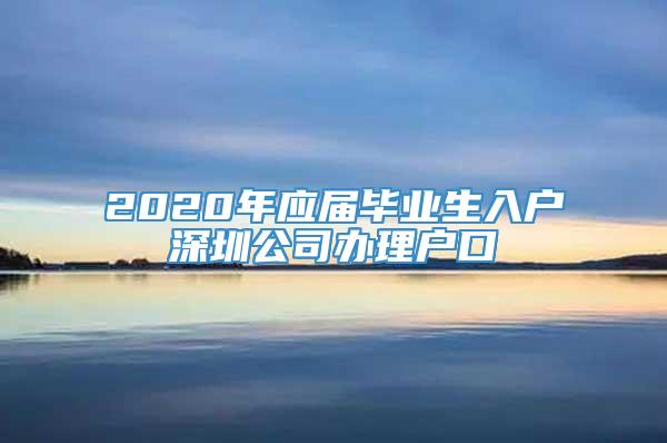 2020年应届毕业生入户深圳公司办理户口