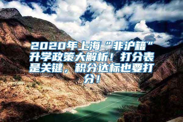 2020年上海“非沪籍”升学政策大解析！打分表是关键，积分达标也要打分！