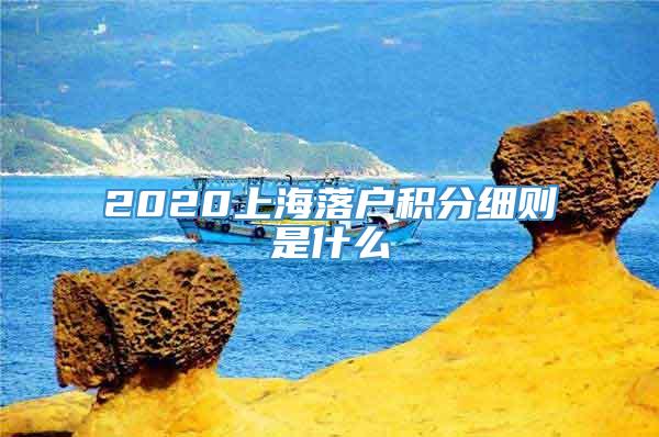 2020上海落户积分细则是什么