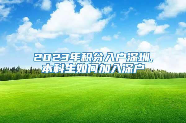 2023年积分入户深圳,本科生如何加入深户