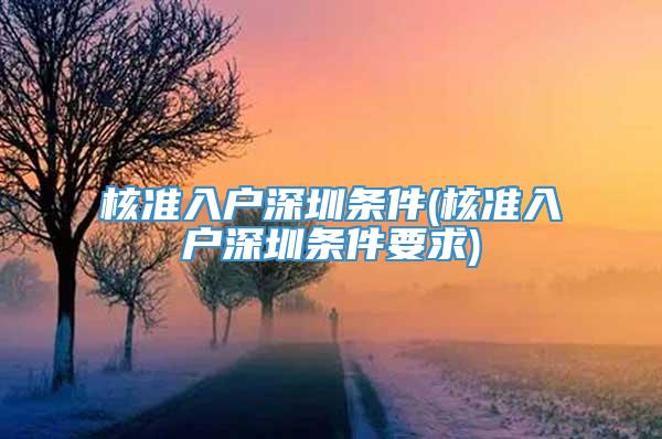 核准入户深圳条件(核准入户深圳条件要求)