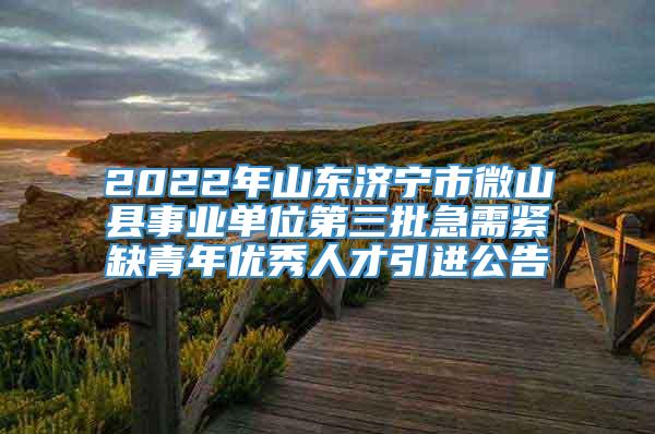 2022年山东济宁市微山县事业单位第三批急需紧缺青年优秀人才引进公告