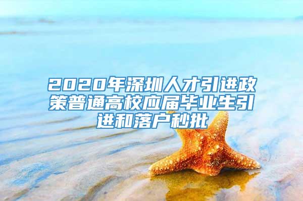 2020年深圳人才引进政策普通高校应届毕业生引进和落户秒批