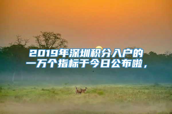 2019年深圳积分入户的一万个指标于今日公布啦，