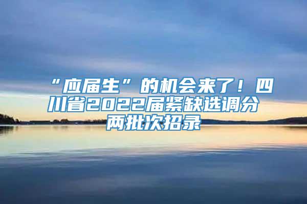 “应届生”的机会来了！四川省2022届紧缺选调分两批次招录