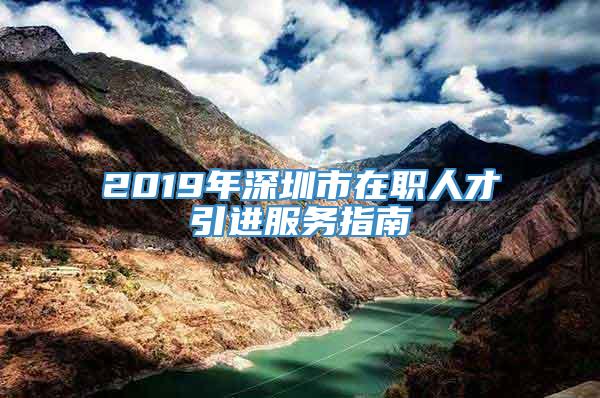 2019年深圳市在职人才引进服务指南