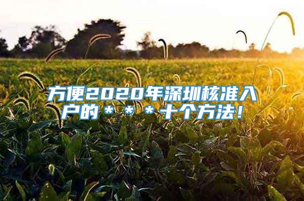 方便2020年深圳核准入户的＊＊＊十个方法！