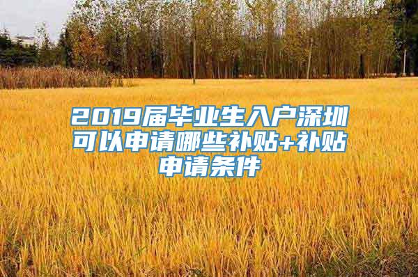 2019届毕业生入户深圳可以申请哪些补贴+补贴申请条件