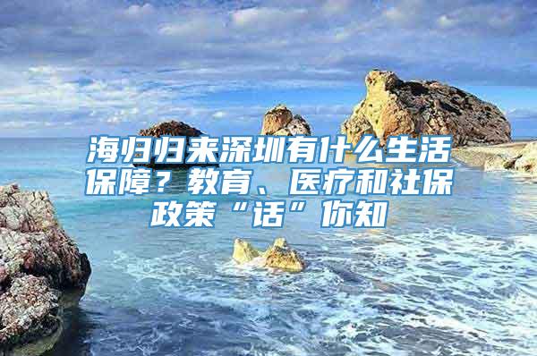 海归归来深圳有什么生活保障？教育、医疗和社保政策“话”你知