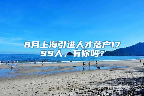 8月上海引进人才落户1799人，有你吗？