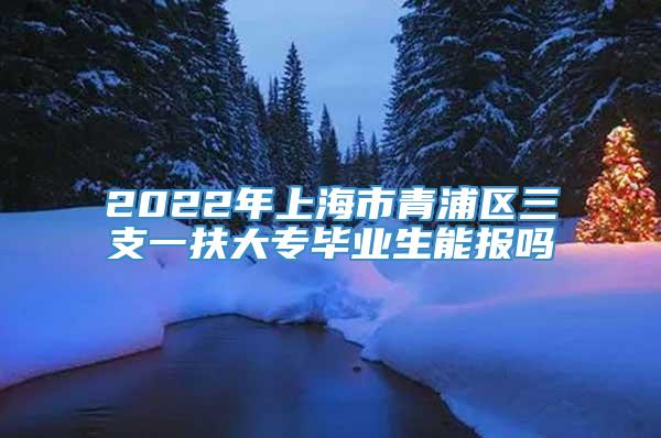 2022年上海市青浦区三支一扶大专毕业生能报吗