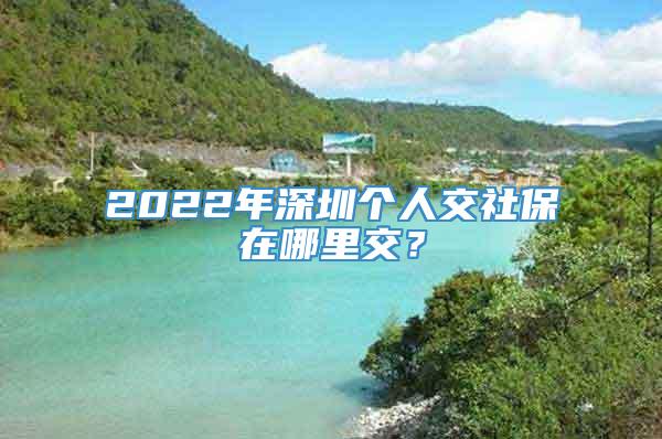 2022年深圳个人交社保在哪里交？