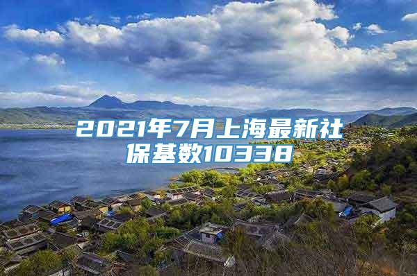 2021年7月上海最新社保基数10338