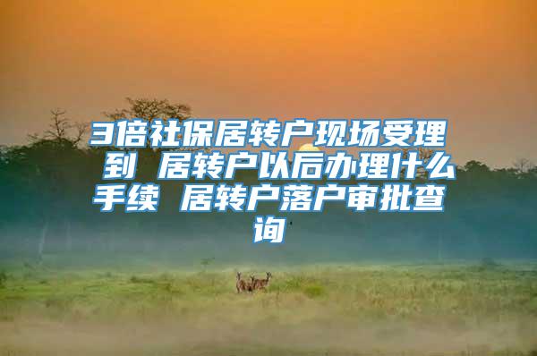 3倍社保居转户现场受理 到 居转户以后办理什么手续 居转户落户审批查询