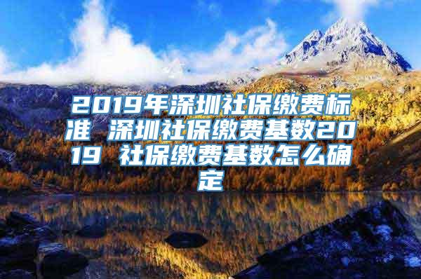 2019年深圳社保缴费标准 深圳社保缴费基数2019 社保缴费基数怎么确定