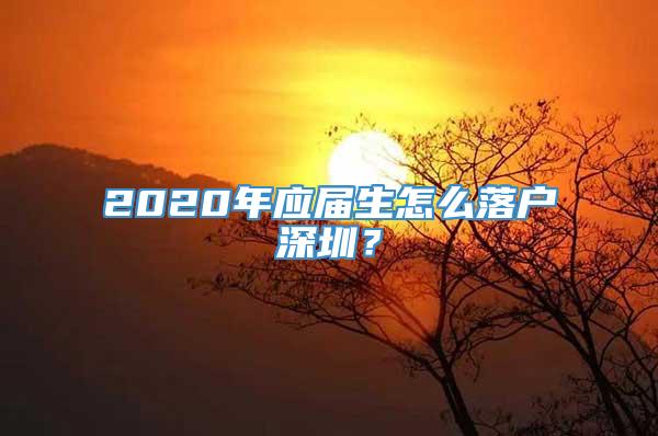 2020年应届生怎么落户深圳？