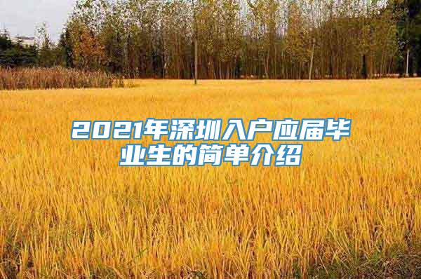 2021年深圳入户应届毕业生的简单介绍