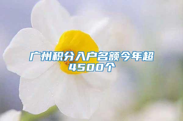 广州积分入户名额今年超4500个