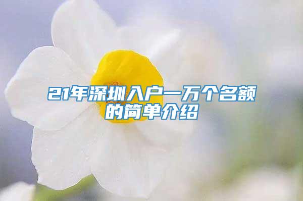 21年深圳入户一万个名额的简单介绍