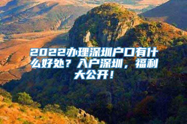 2022办理深圳户口有什么好处？入户深圳，福利大公开！