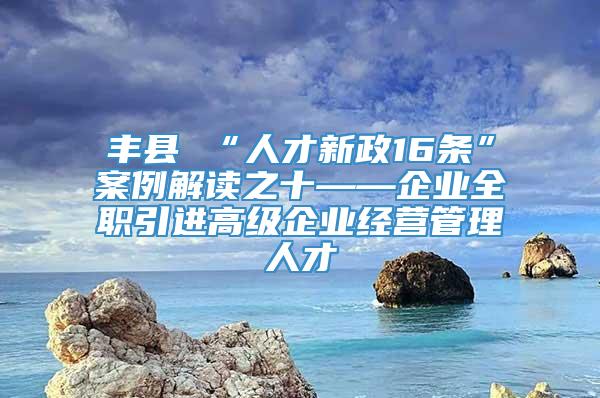 丰县 “人才新政16条”案例解读之十——企业全职引进高级企业经营管理人才