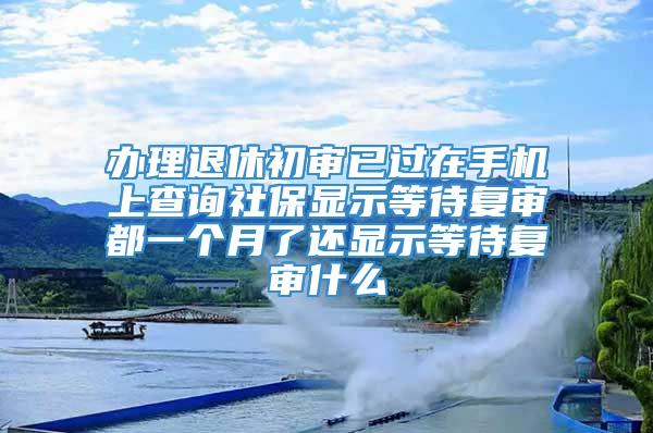 办理退休初审已过在手机上查询社保显示等待复审都一个月了还显示等待复审什么