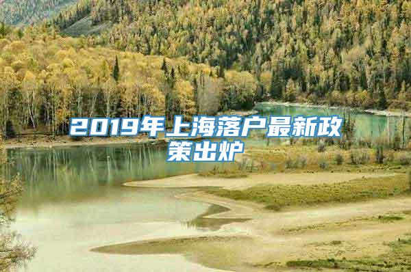 2019年上海落户最新政策出炉