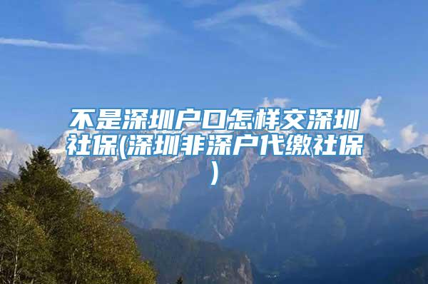 不是深圳户口怎样交深圳社保(深圳非深户代缴社保)