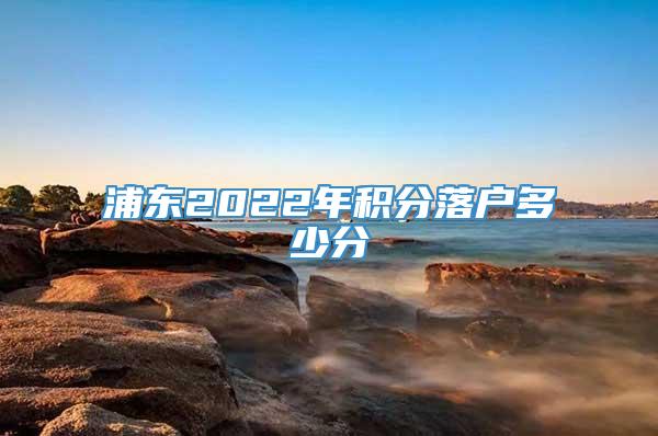 浦东2022年积分落户多少分