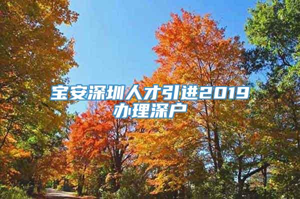 宝安深圳人才引进2019办理深户