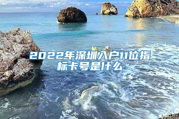 2022年深圳入户11位指标卡号是什么