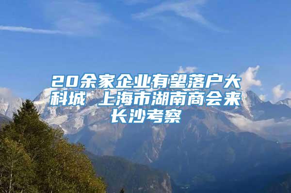 20余家企业有望落户大科城 上海市湖南商会来长沙考察