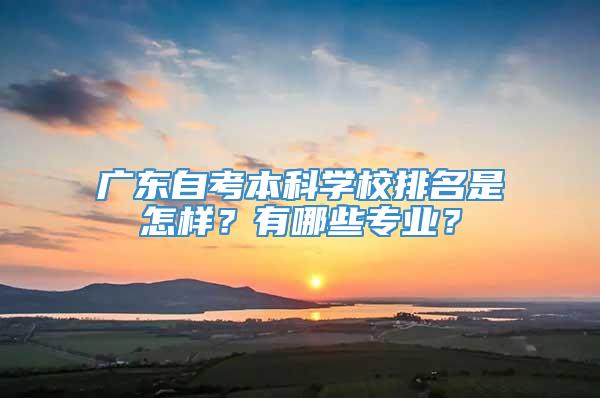 广东自考本科学校排名是怎样？有哪些专业？