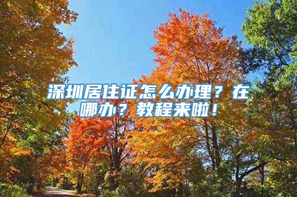 深圳居住证怎么办理？在哪办？教程来啦！