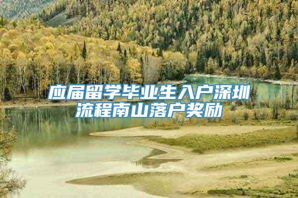 应届留学毕业生入户深圳流程南山落户奖励