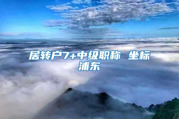 居转户7+中级职称 坐标浦东