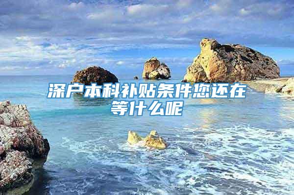 深户本科补贴条件您还在等什么呢