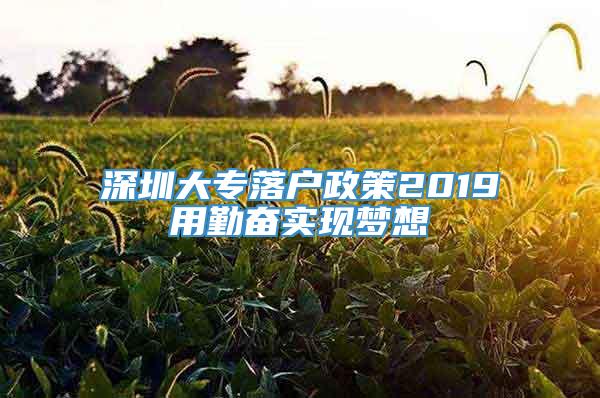 深圳大专落户政策2019用勤奋实现梦想