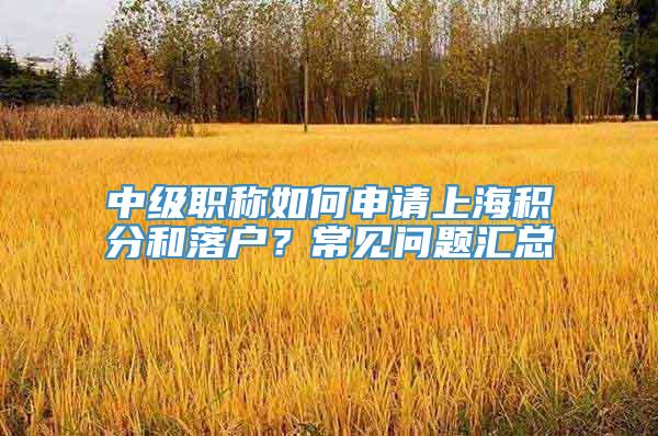 中级职称如何申请上海积分和落户？常见问题汇总