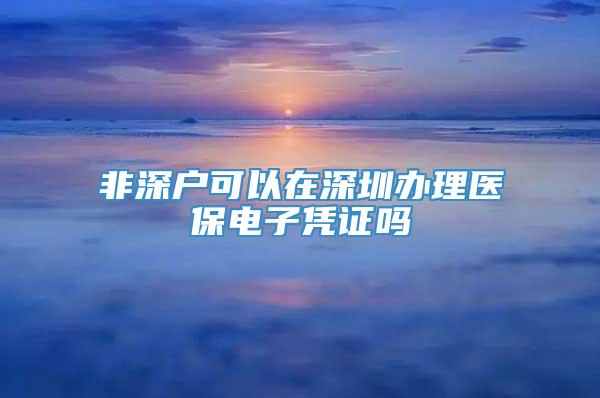 非深户可以在深圳办理医保电子凭证吗